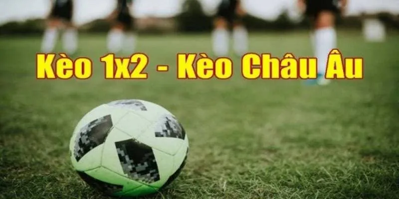 Cách soi kèo bóng đá 1x2